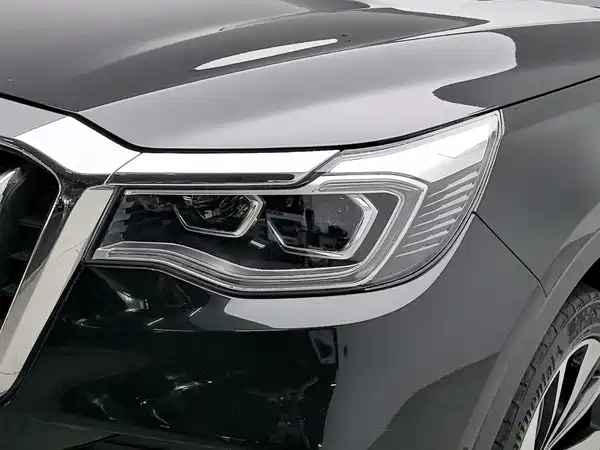 Hongqi HS7 2020