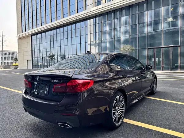 BMW 5 Series 2019