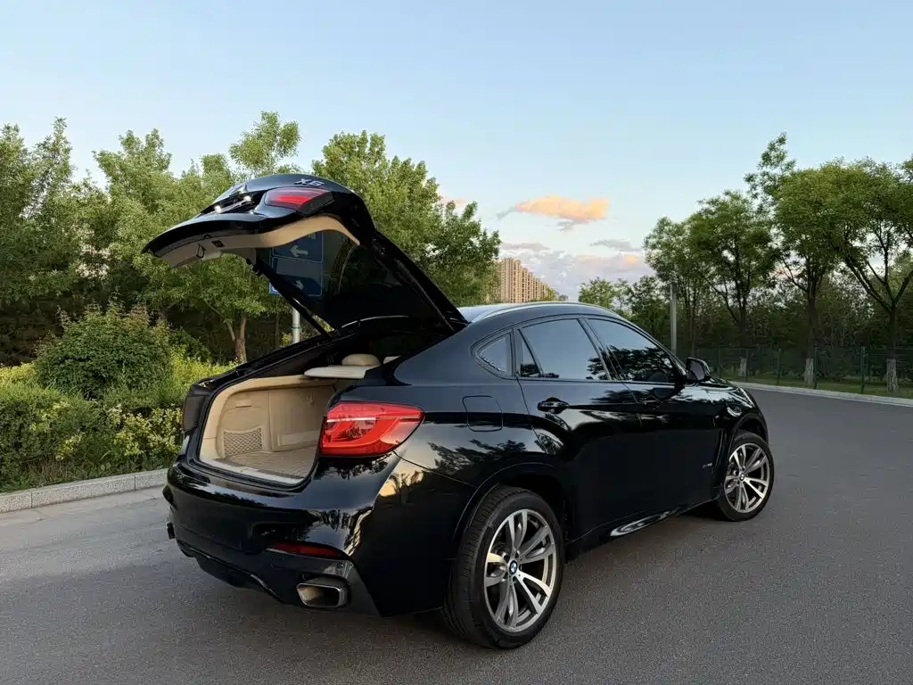 BMW X6 2015 — фото 8