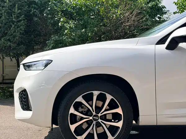 Wey VV7 2017