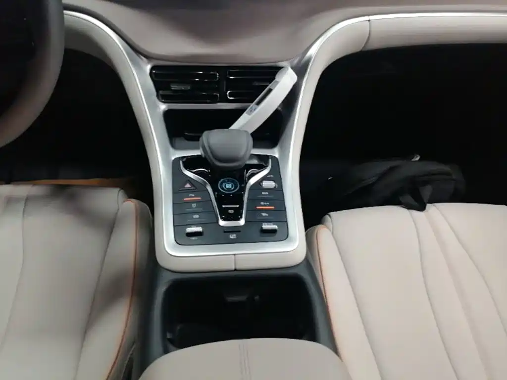 BYD Song Pro New Energy 2025 — фото 14