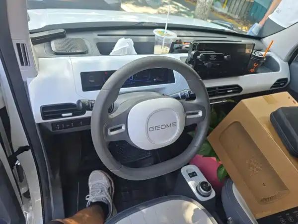 Geely Galaxy Panda 2024