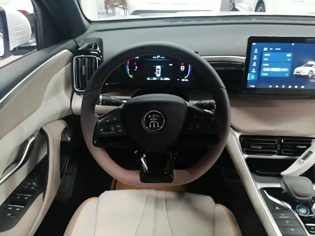 BYD Song Pro New Energy 2025 — фото 11
