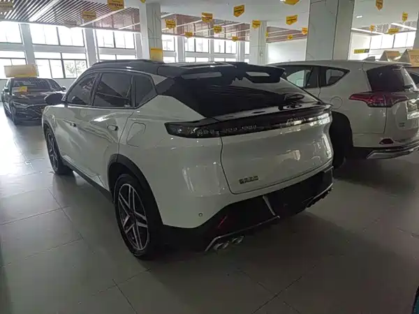 Dongfeng Haohan 2024