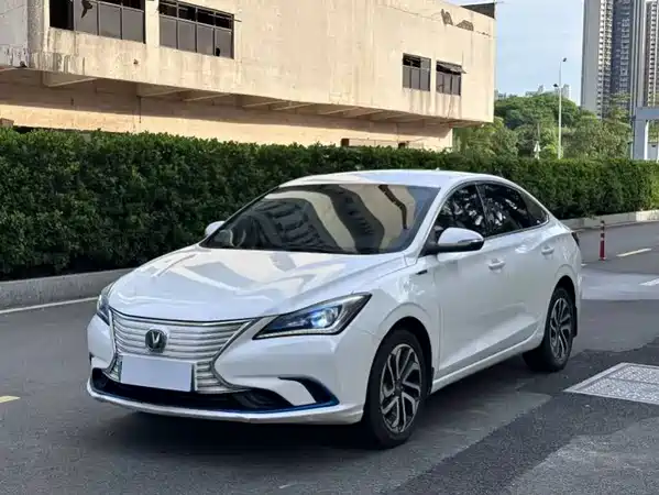 Changan Yidong New Energy 2019
