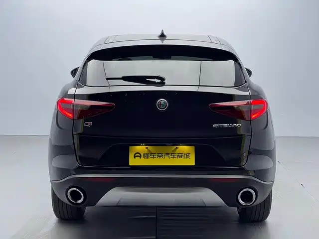 Alfa Romeo Stelvio 2019 — фото 5