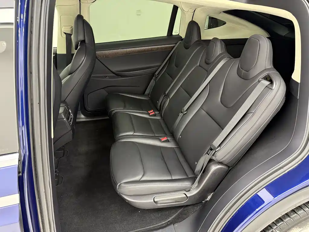 Tesla Model X 2018 — фото 14