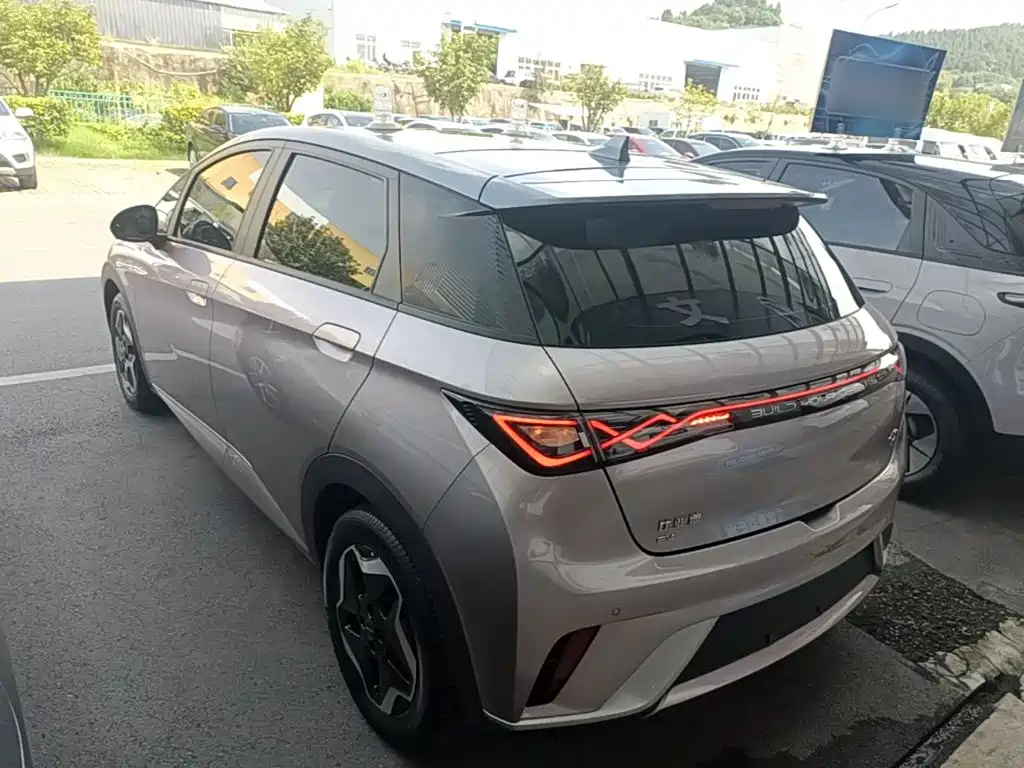 BYD Dolphin 2022