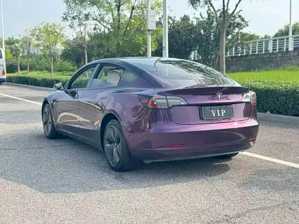 Tesla Model 3 2021
