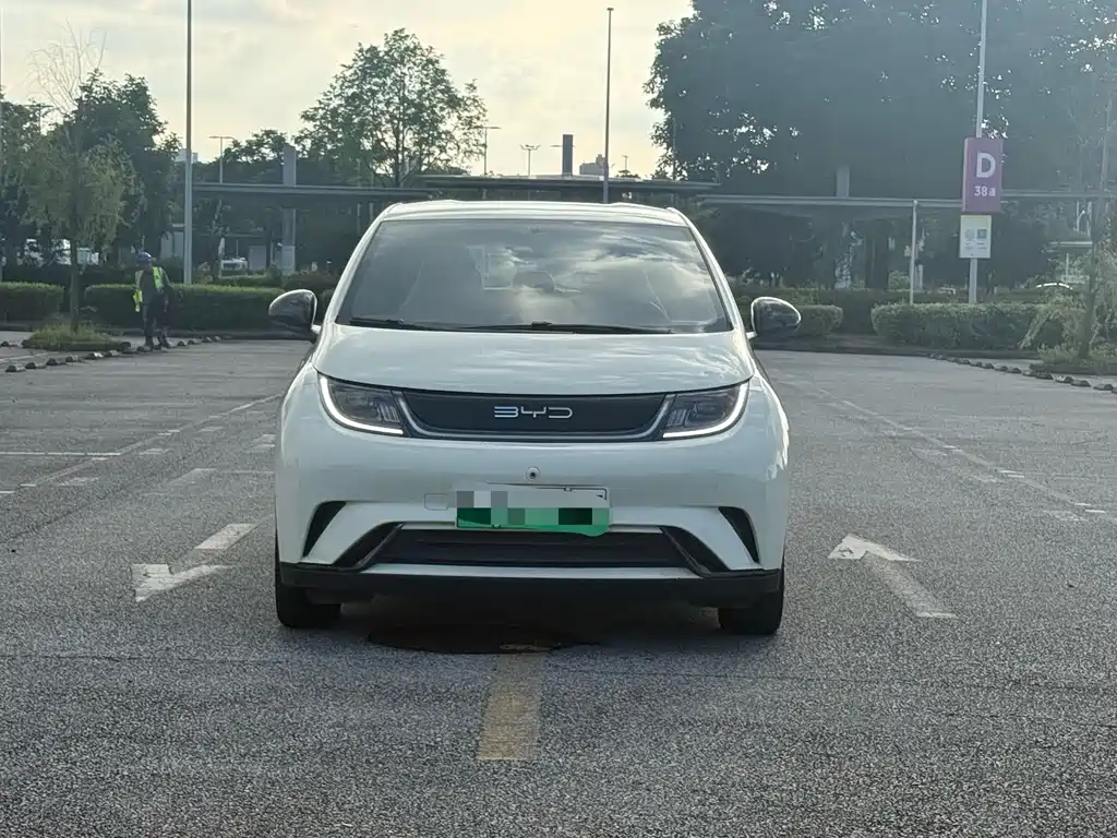 BYD Dolphin 2024