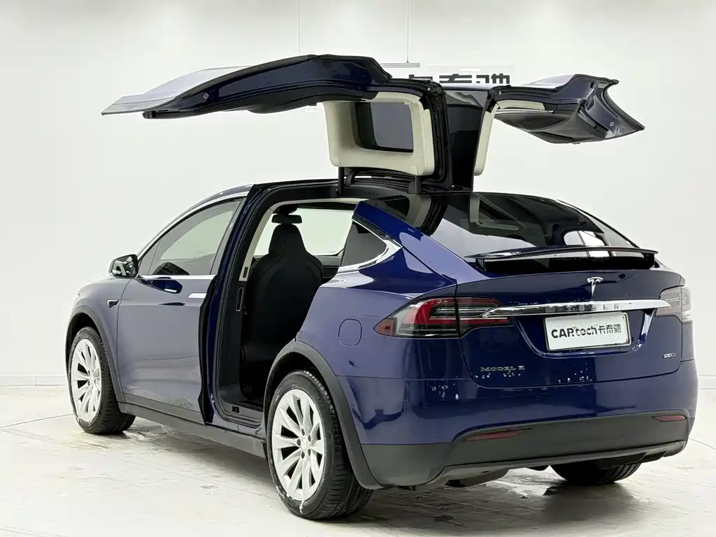Tesla Model X 2018 — фото 8
