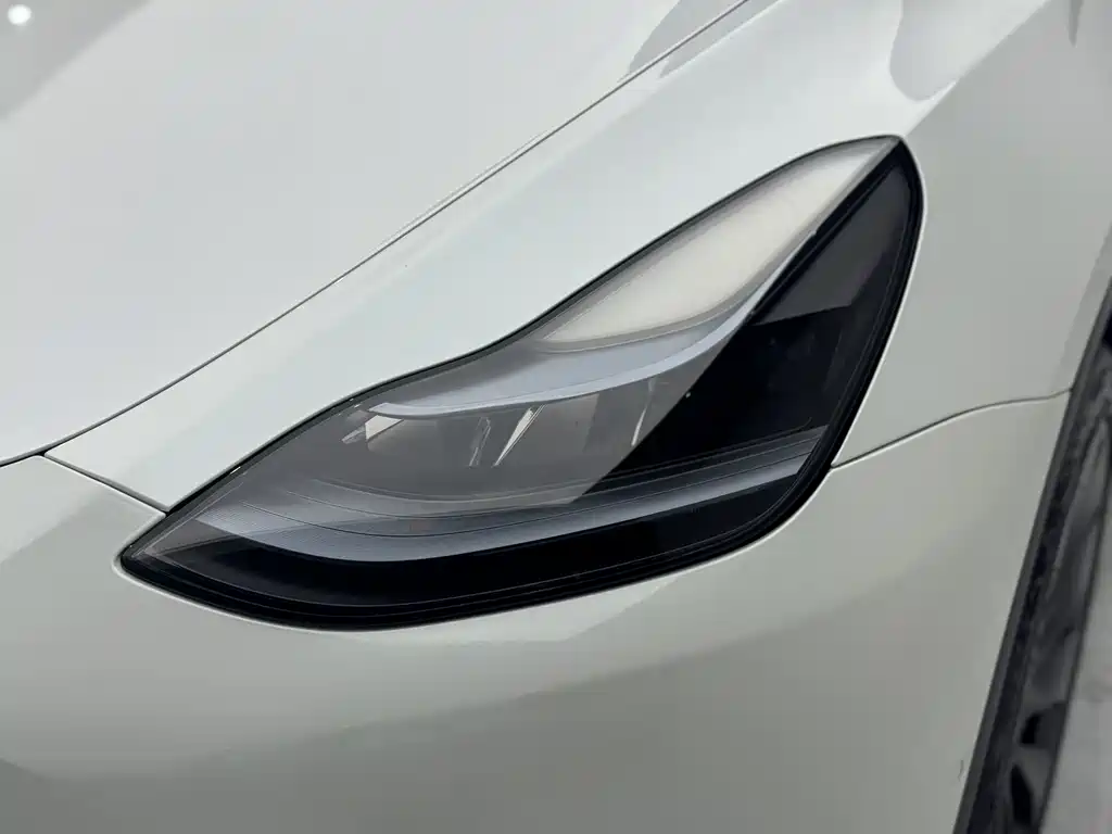 Tesla Model Y 2023 — фото 19