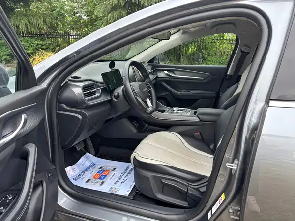 BYD Destroyer 05 2024