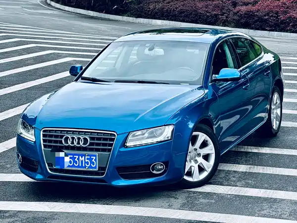 Audi A5 2010