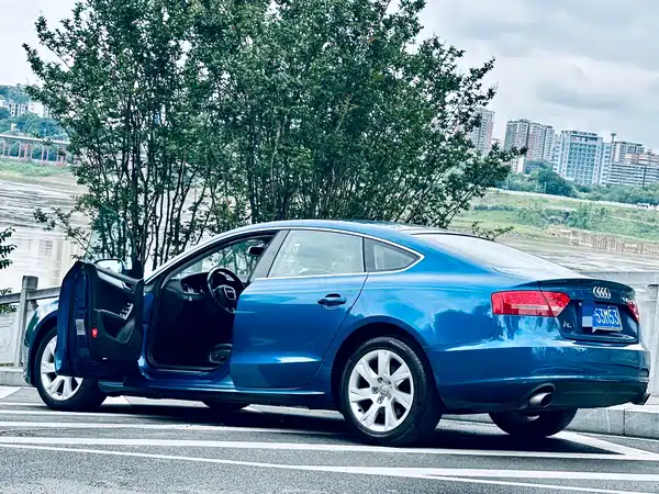 Audi A5 2010
