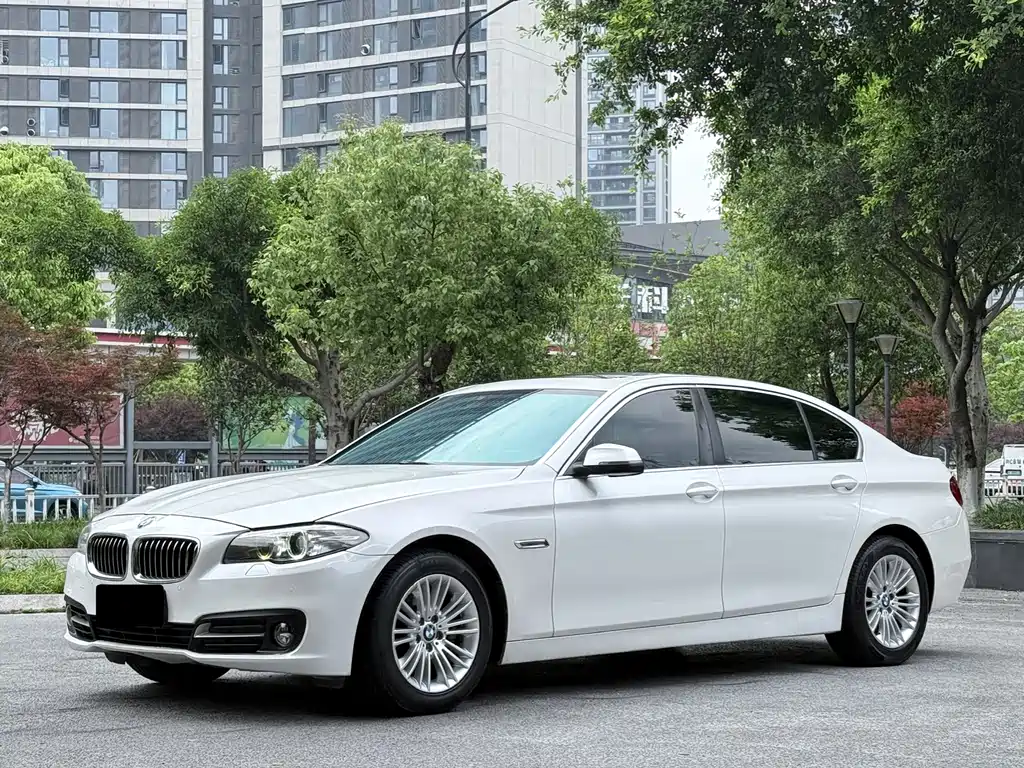 BMW 5 Series 2016 — фото 1