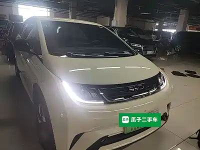 BYD Dolphin 2026