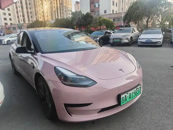 Tesla Model 3 2021