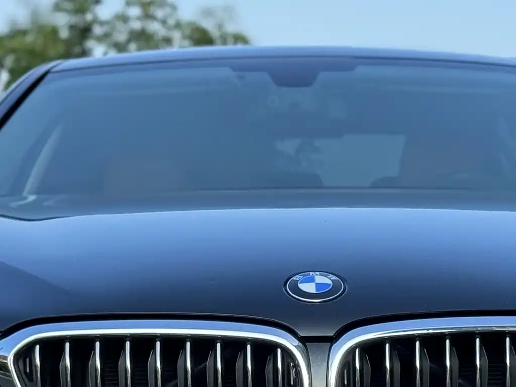 BMW 5 Series 2018 — фото 15
