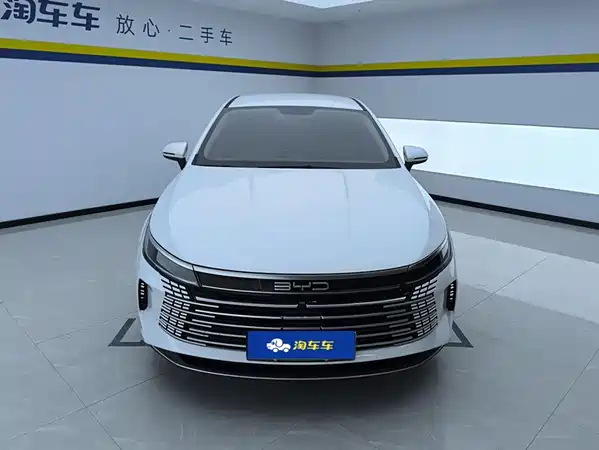 BYD Destroyer 05 2024