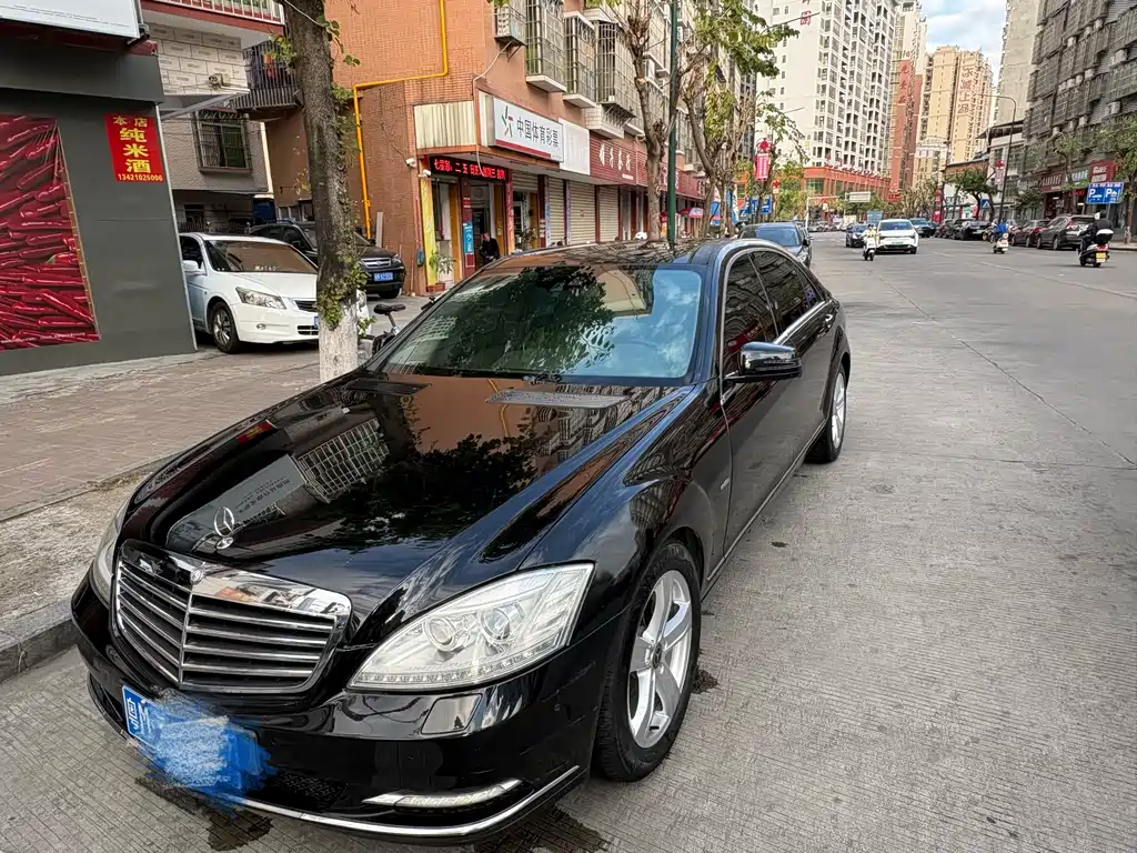 Mercedes-Benz S-Class 2010 — фото 1