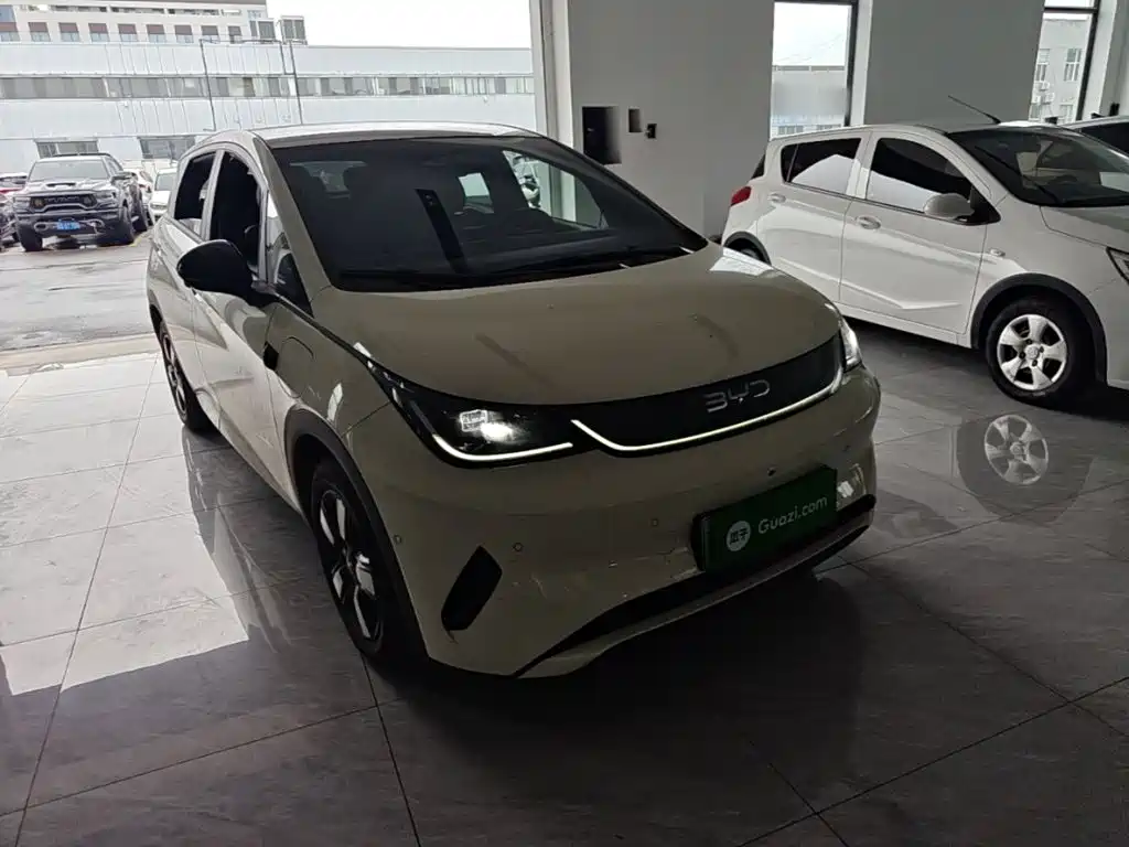 BYD Dolphin 2025