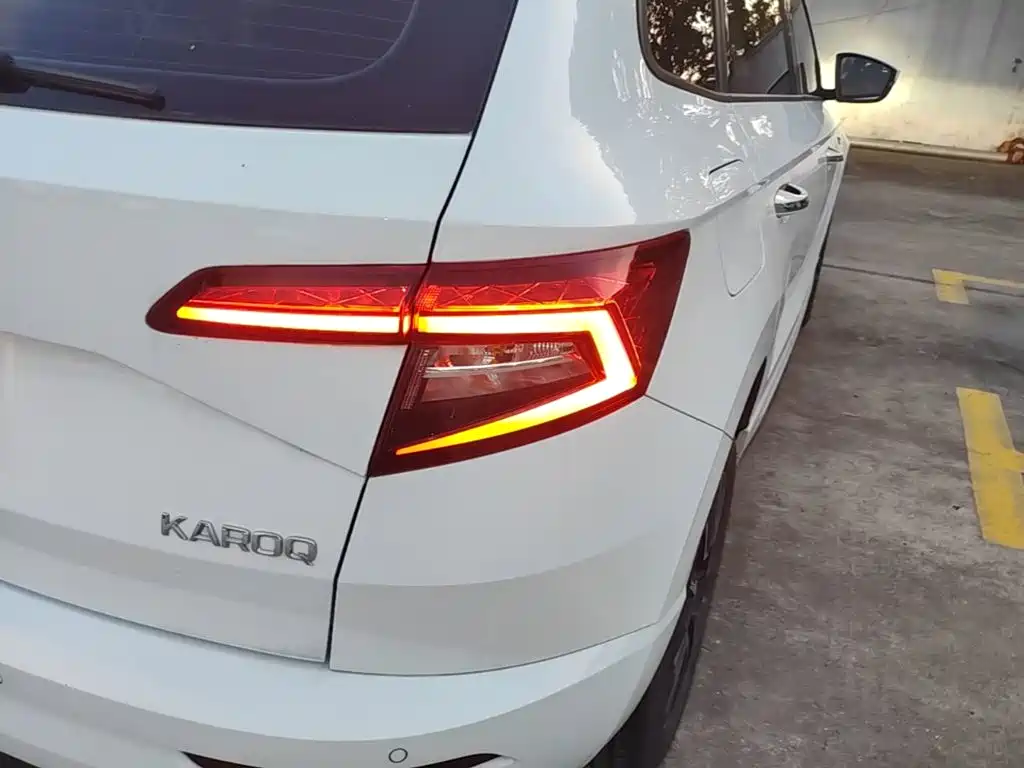 Skoda Karoq 2024 — фото 8