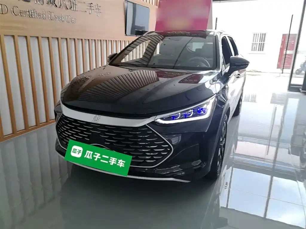 BYD Tang New Energy 2024 — фото 1