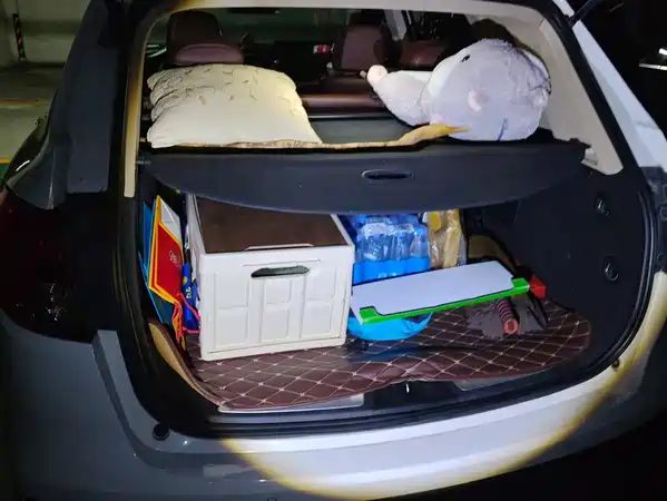 Buick Envision Plus 2015