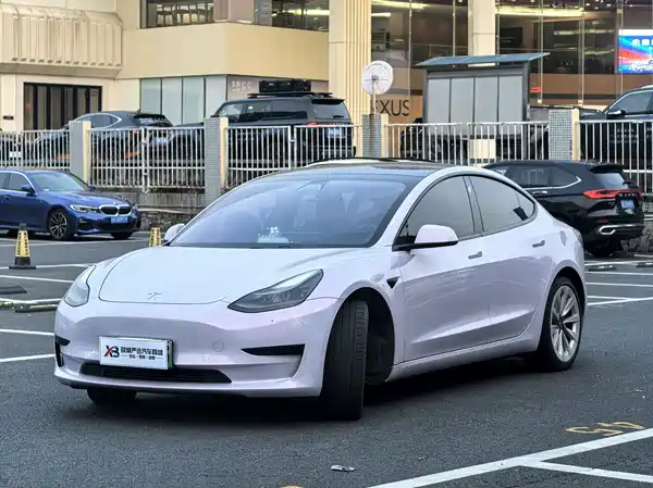Tesla Model 3 2021