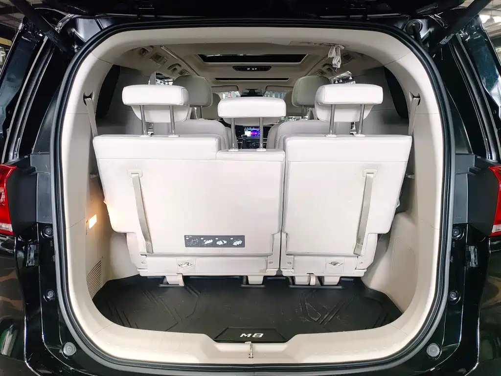 GAC Motor Trumpchi M8 2018 — фото 15