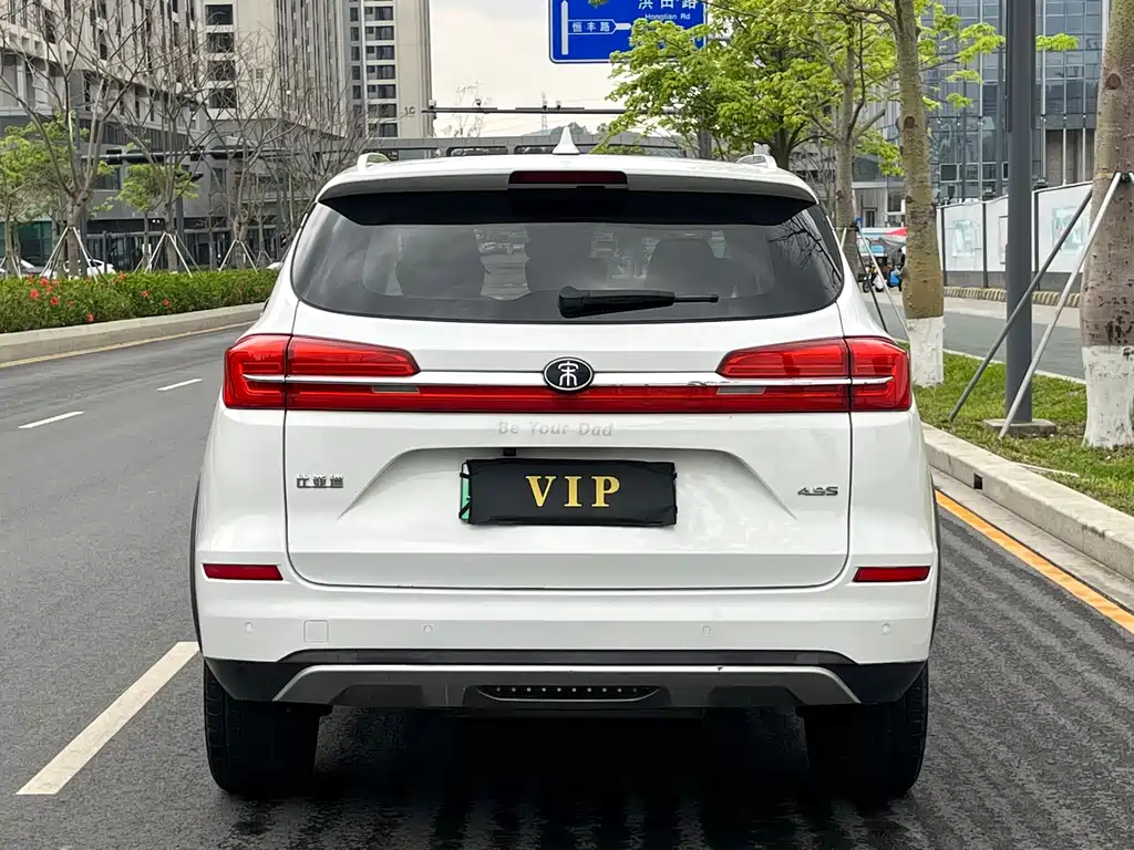 BYD New Energy 2019 — фото 11
