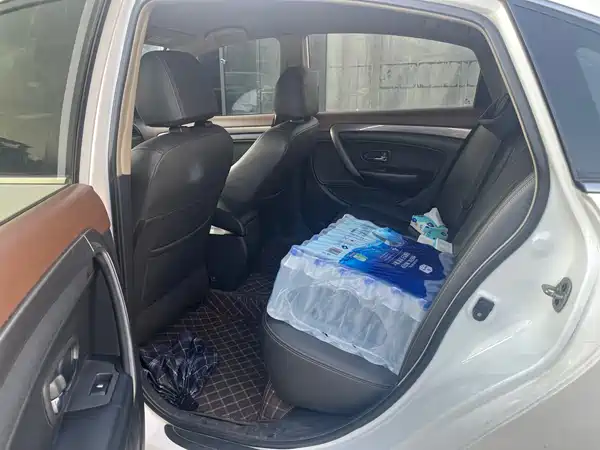 Dongfeng E70 2019