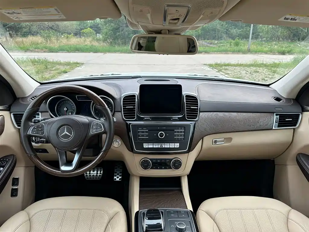 Mercedes-Benz GLS 2018 — фото 11