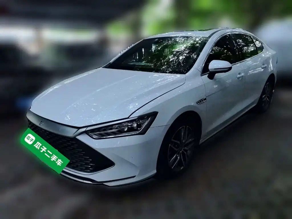 BYD Qin PLUS 2021 — фото 2