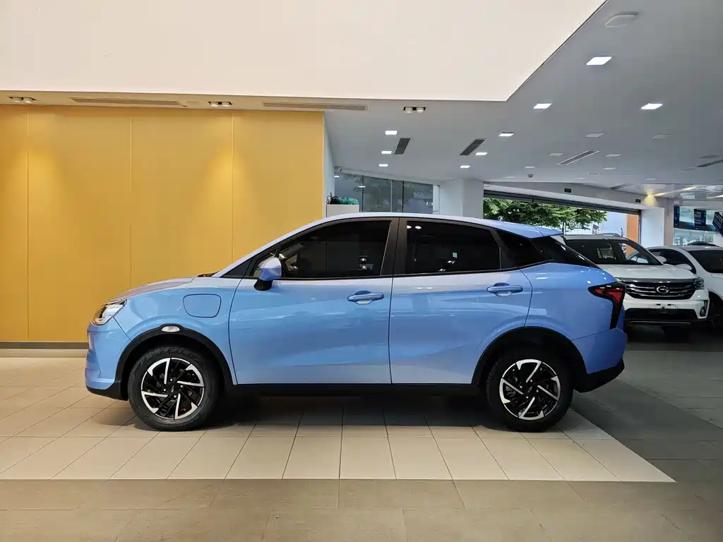 Neta V 2021