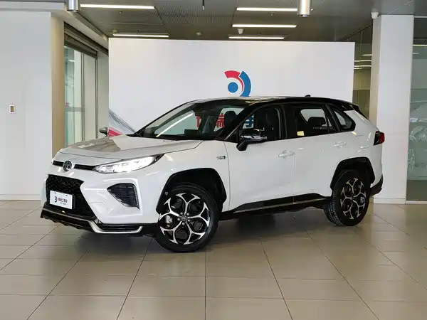 Toyota Weilanda New Energy 2021