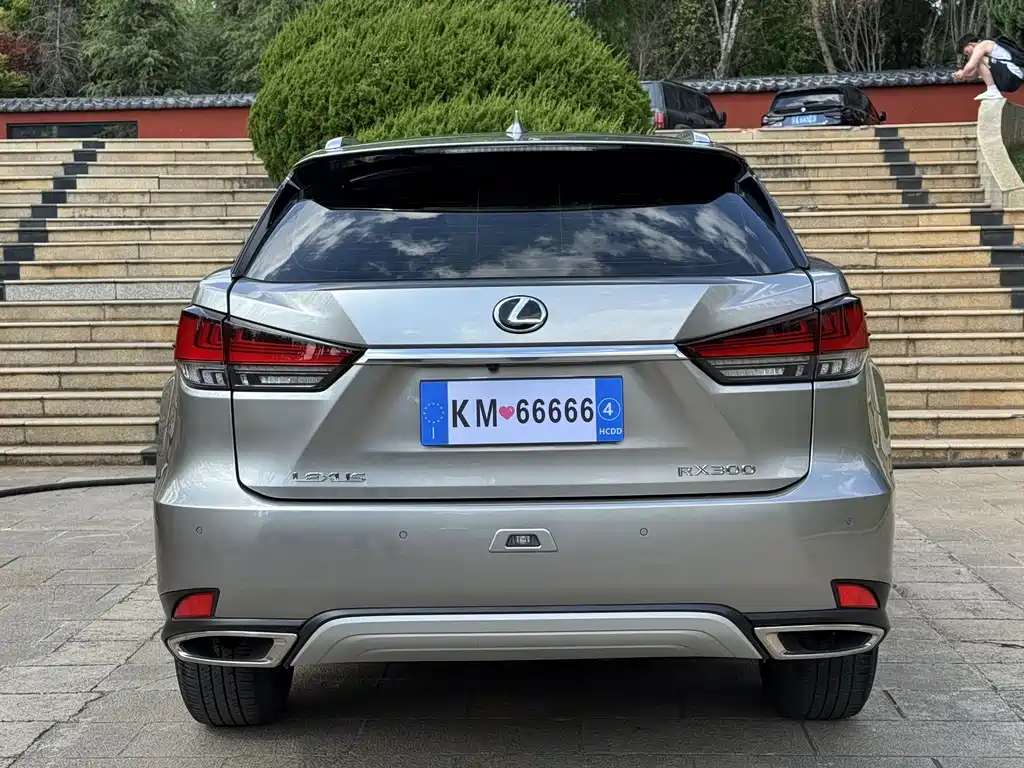 Lexus RX 2022 — фото 9