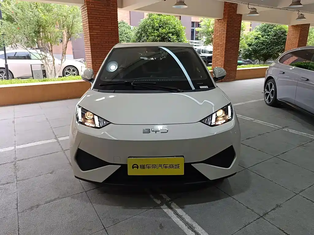 BYD Seagull 2026