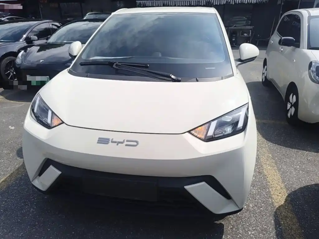BYD Seagull 2024