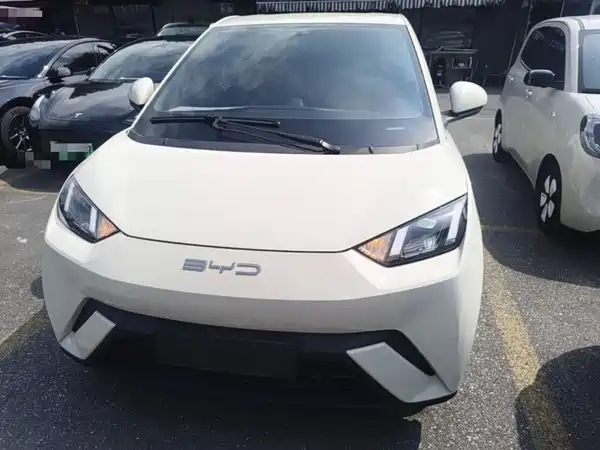 BYD Seagull 2024