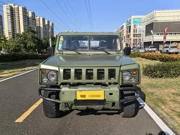 BAW Warrior Pickup 2018