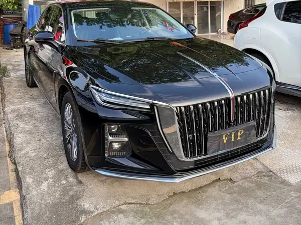 Hongqi H5 2024