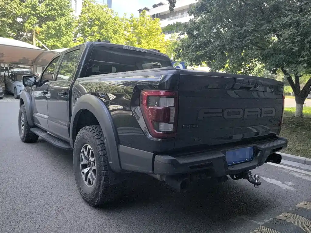 Ford F-150 Raptor 2023 — фото 13