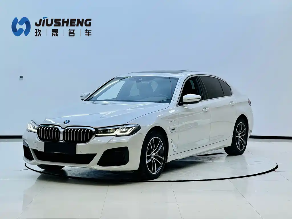 BMW 5 Series New Energy 2022