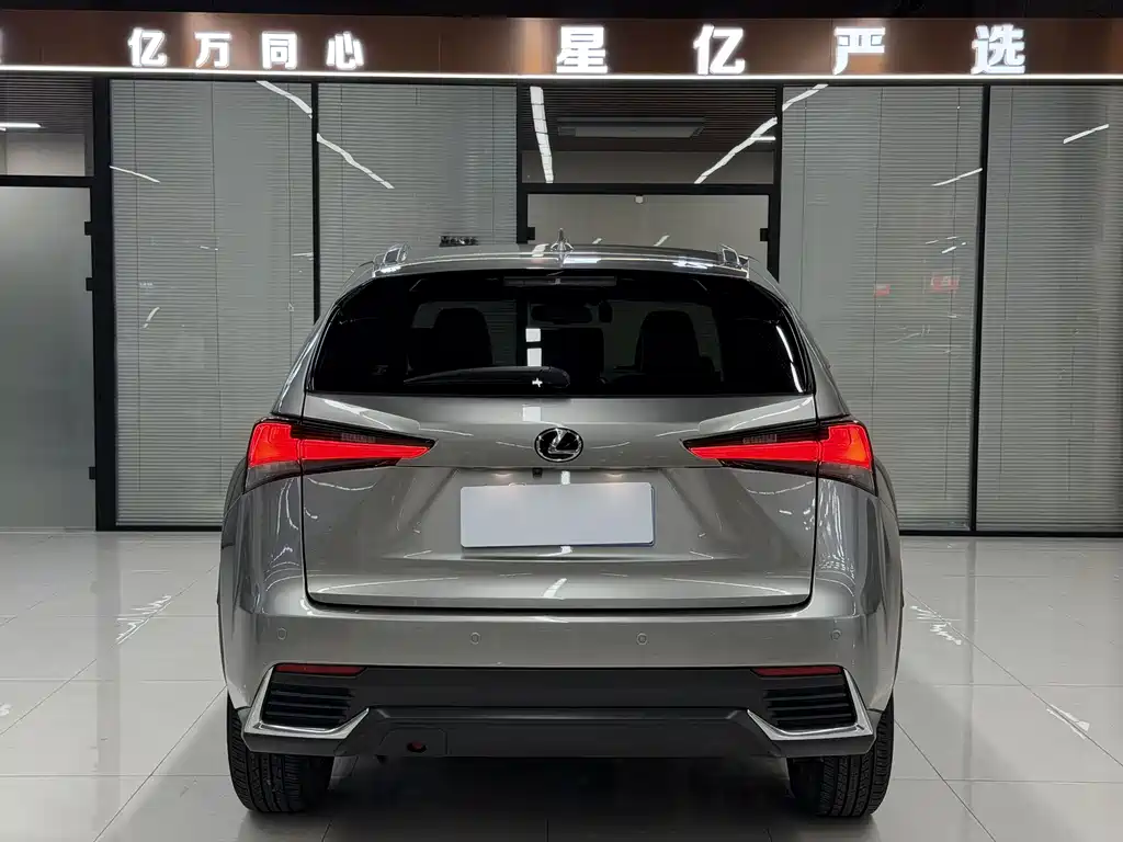 Lexus NX 2020 — фото 19