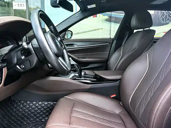 BMW 5 Series New Energy 2021