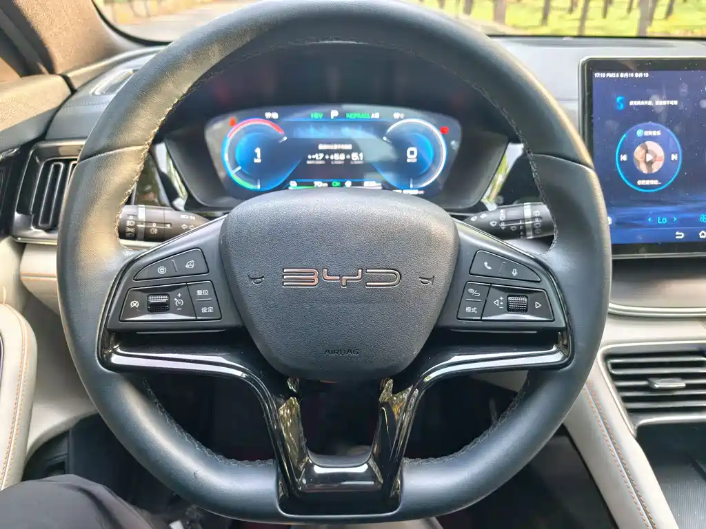 BYD PLUS New Energy 2024 — фото 14