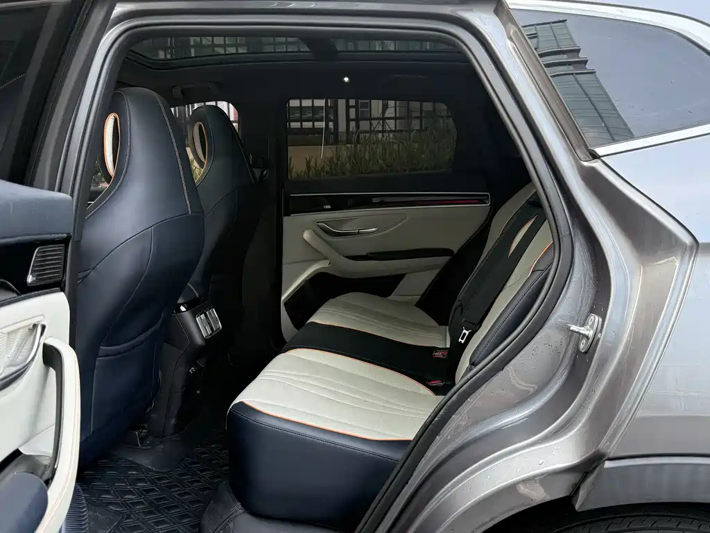 BYD PLUS New Energy 2022 — фото 17