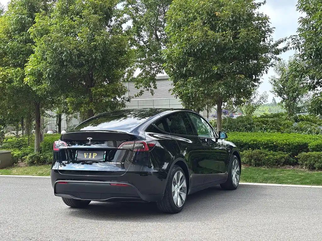 Tesla Model Y 2023 — фото 5